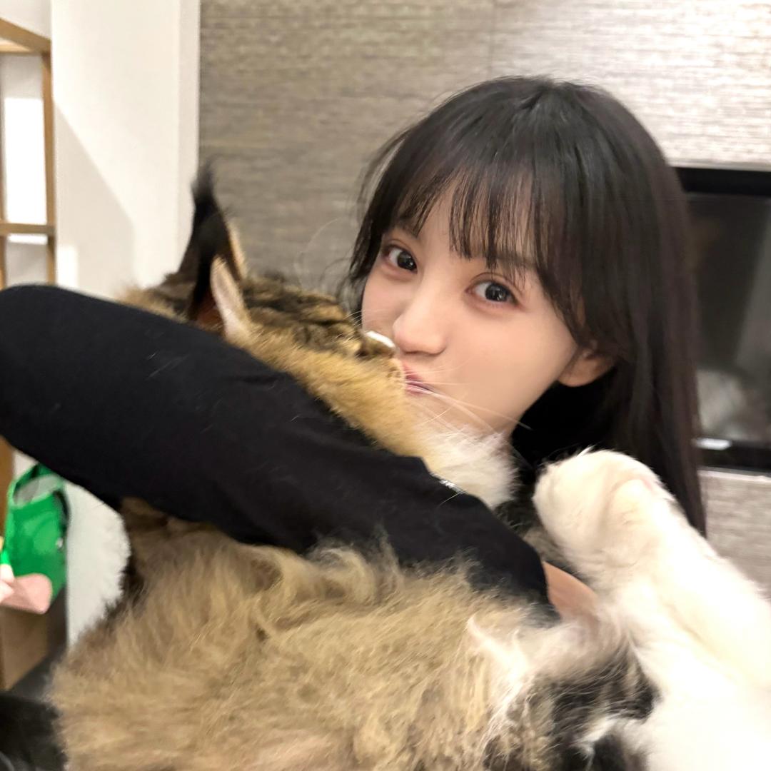 小猫咩咩叫
