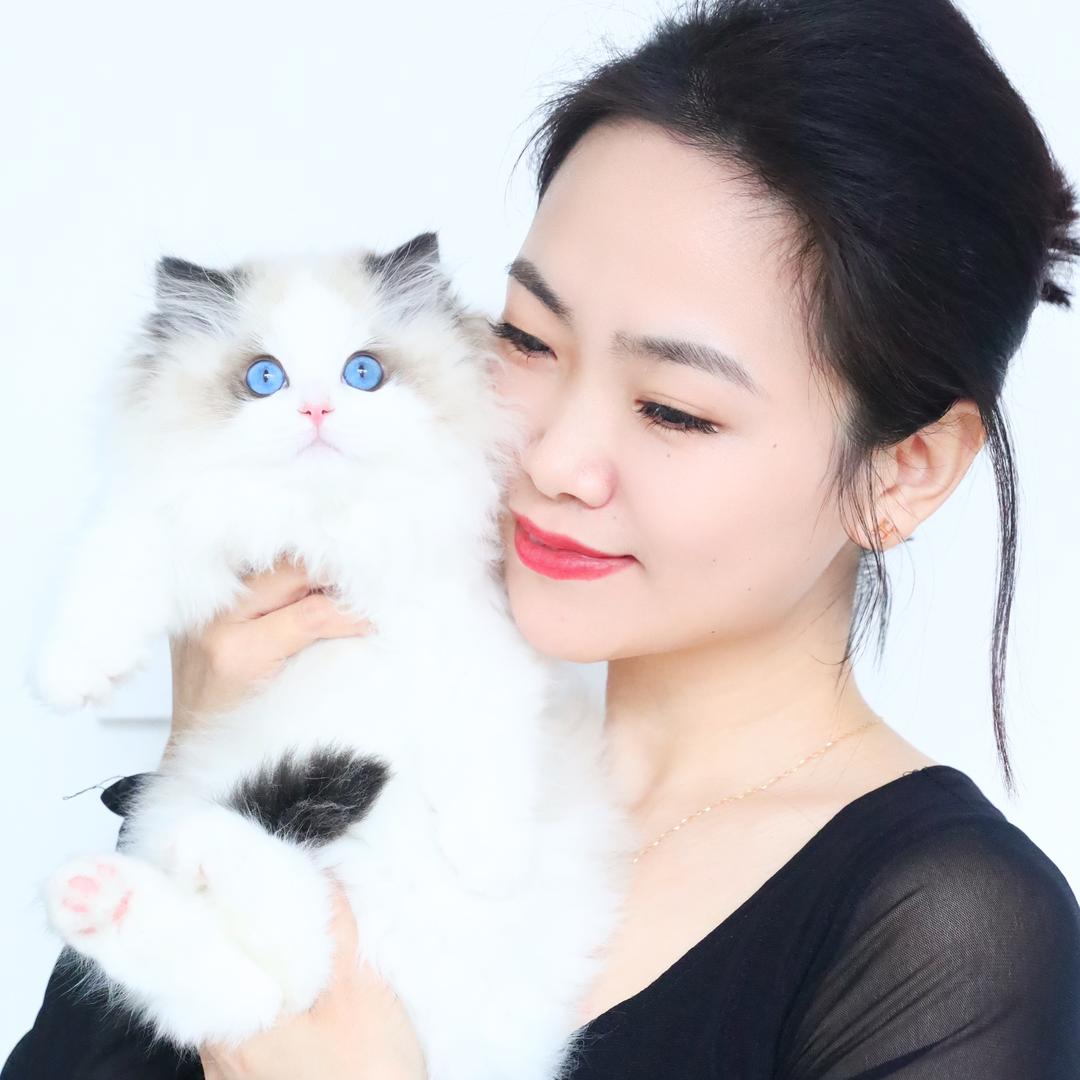 兰小姐 | 小猫院ᰔᩚ（红红）