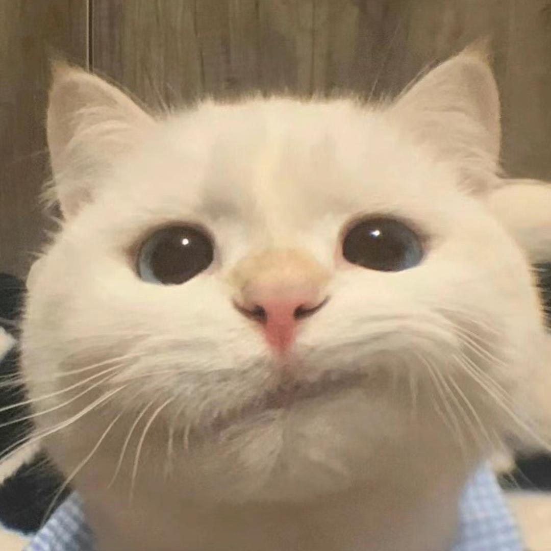 椰椰汁
