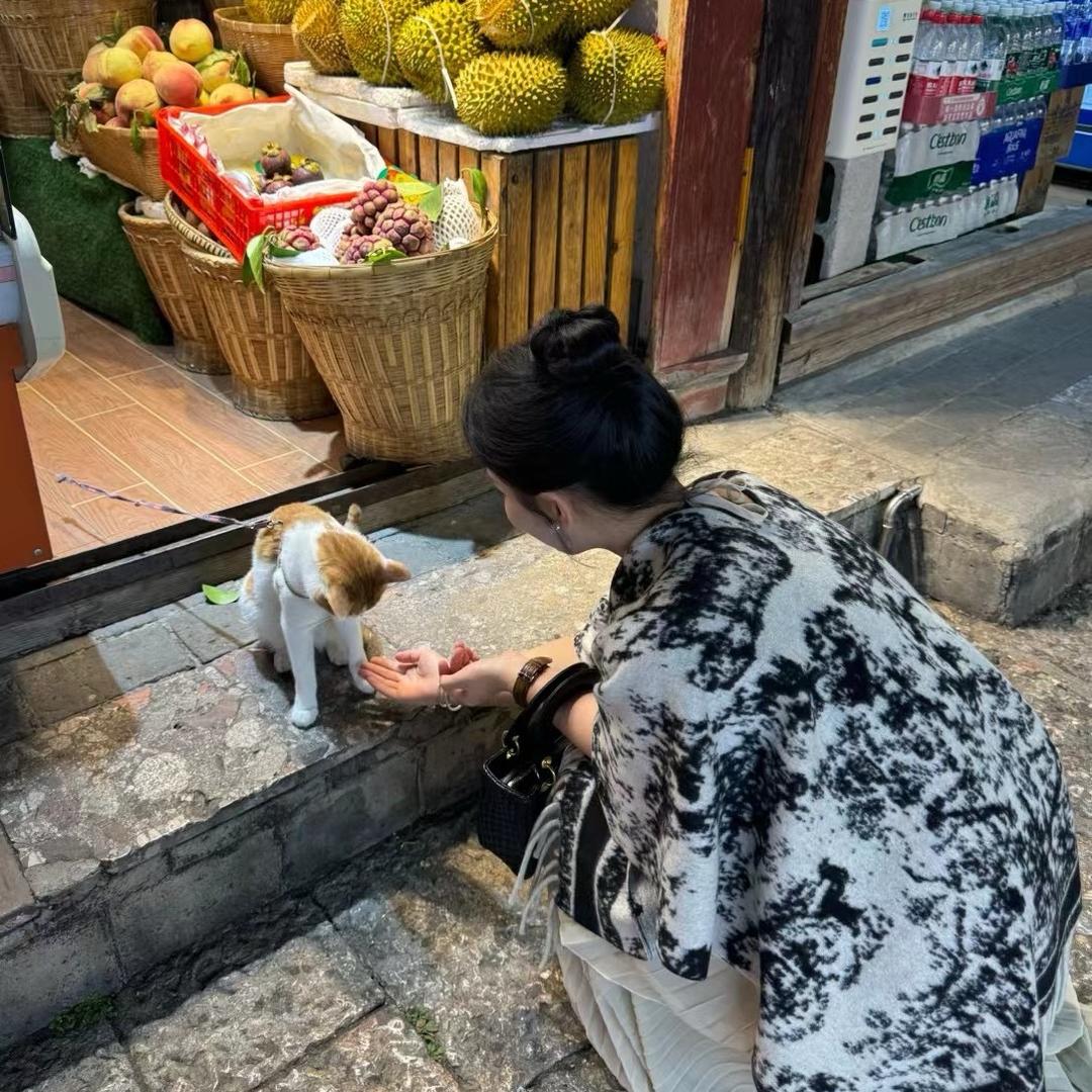 太阳花🌻