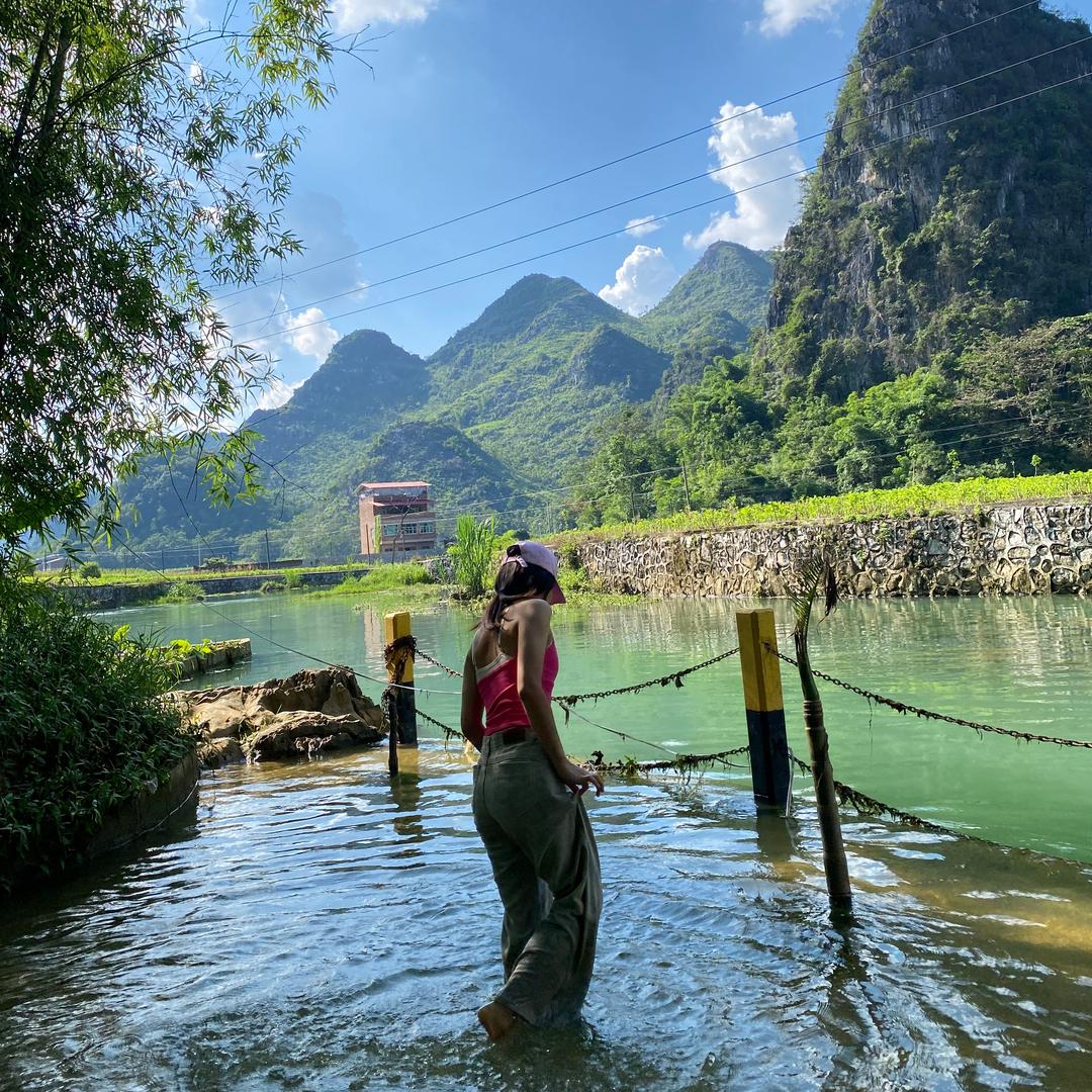 韦阿辣（努力版）