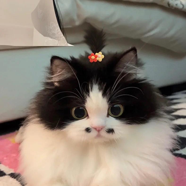 西
