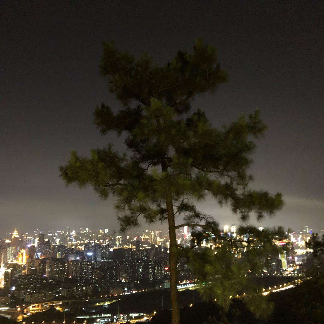 🌈花开富贵^^🌈