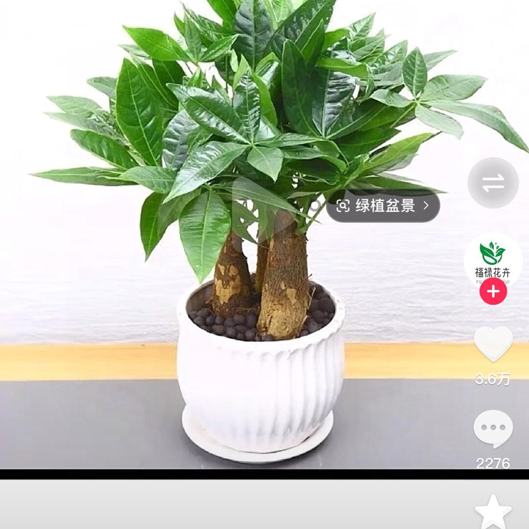 雨后