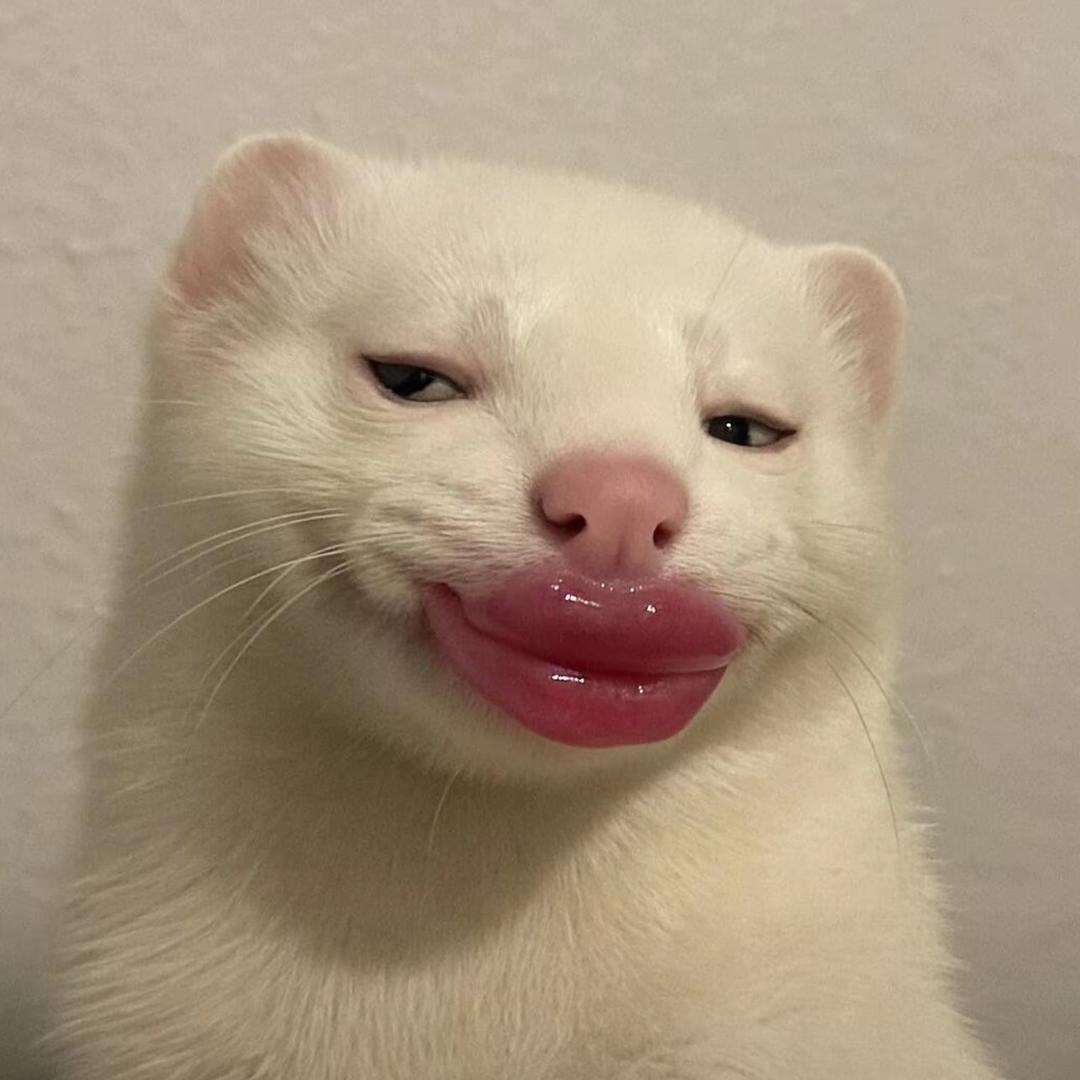 Ss.