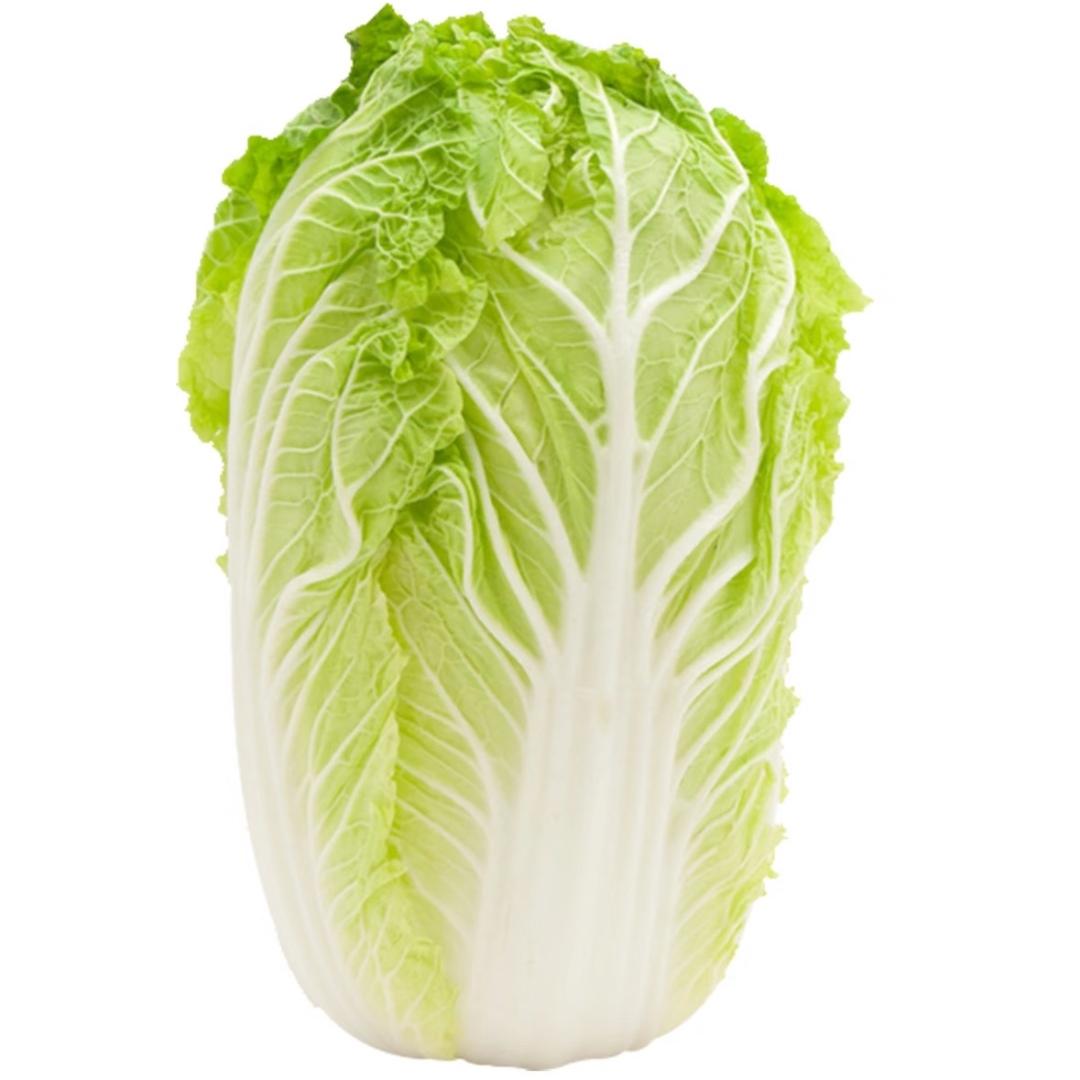 大白菜