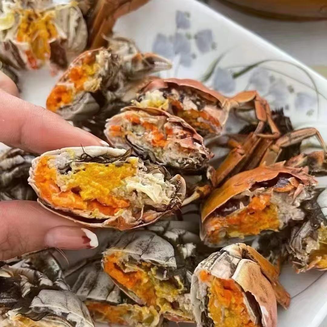 老六盘锦河蟹批发零售