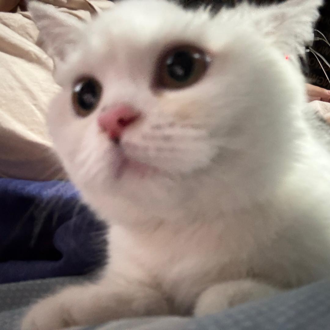 一瞬间（空糖中）孕中期