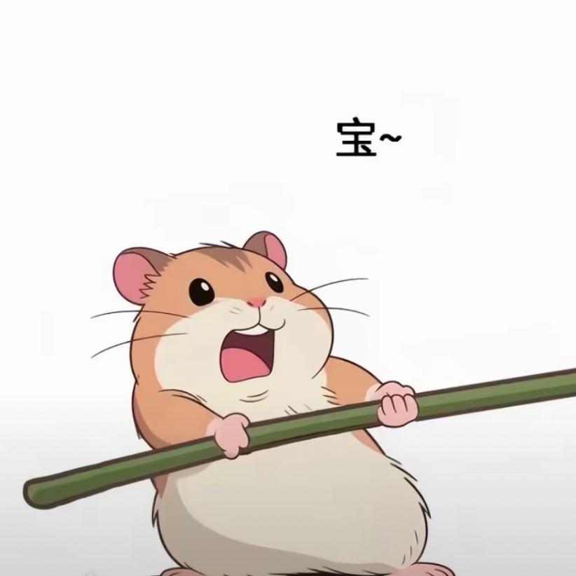 小鲁班。。。（没摸鱼）