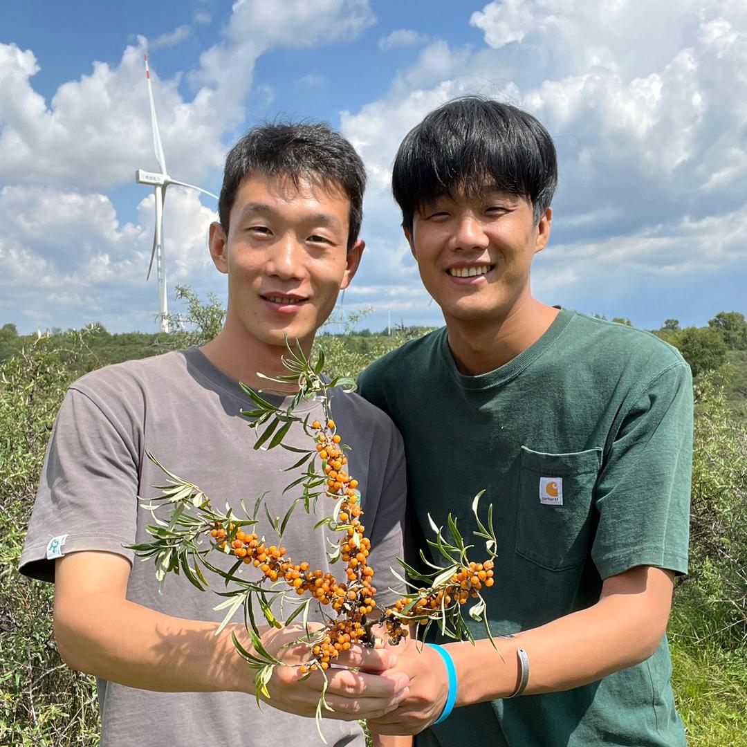 沙棘研究员洋仔和小黑