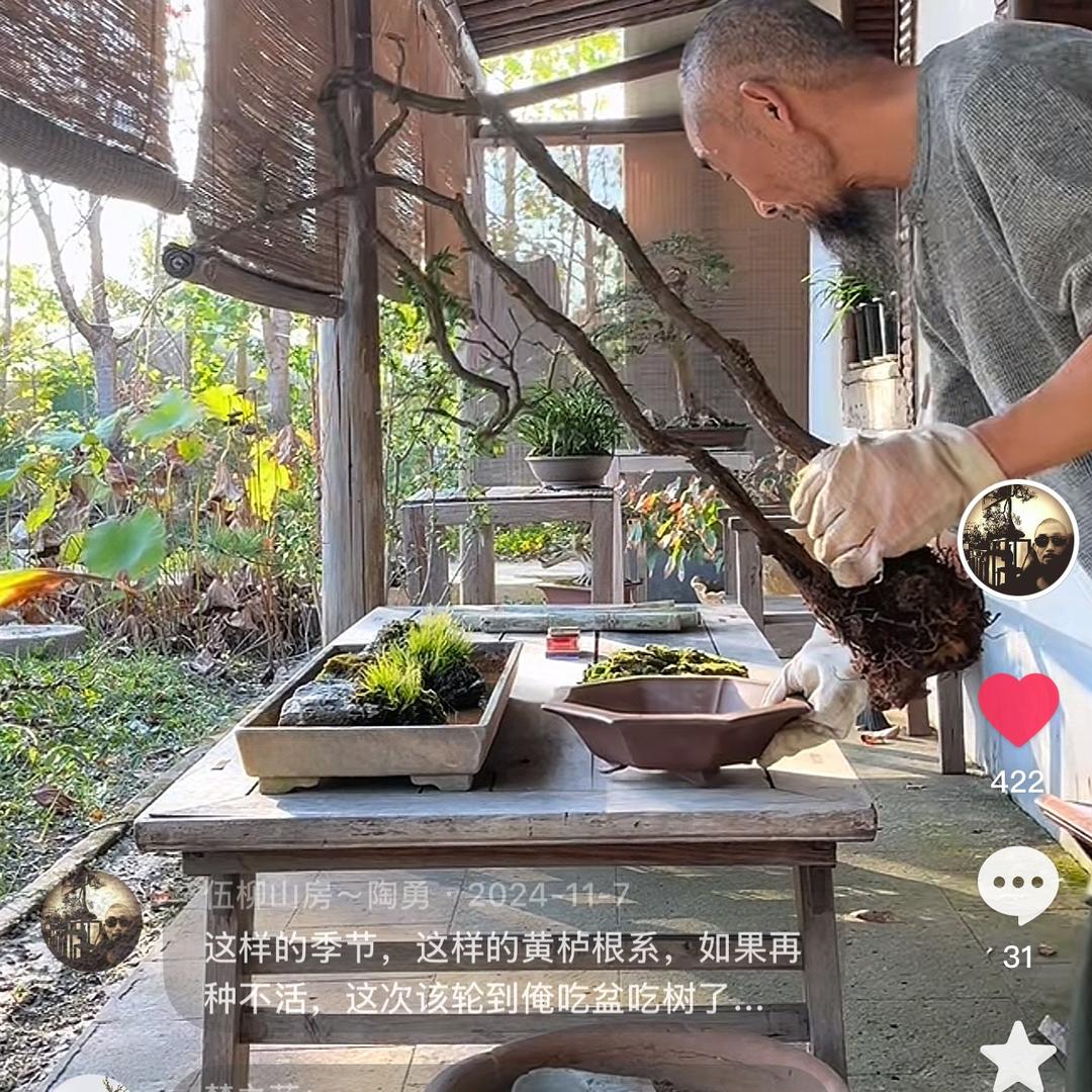 伍柳山房～陶勇