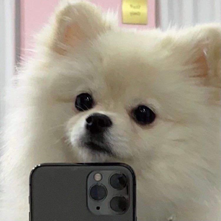 天气好适合睡觉