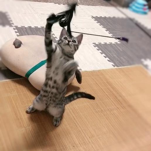 贰八…^