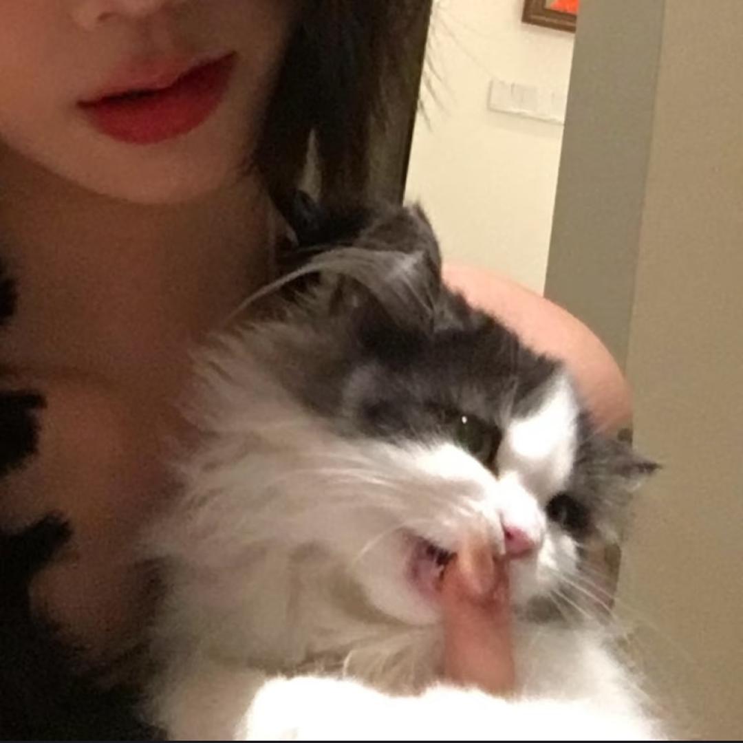短发·姜