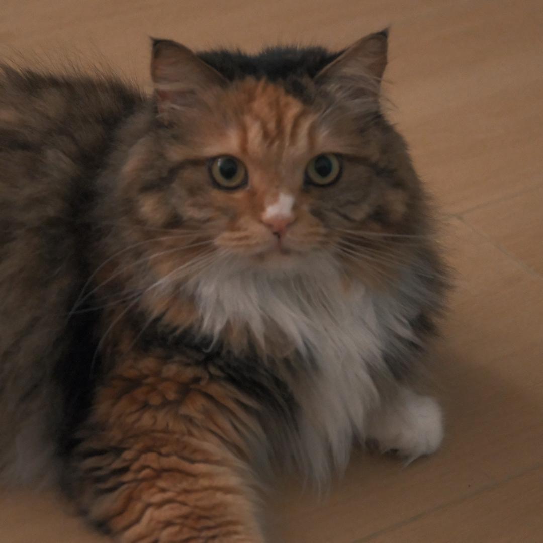 这是小苗和小翁