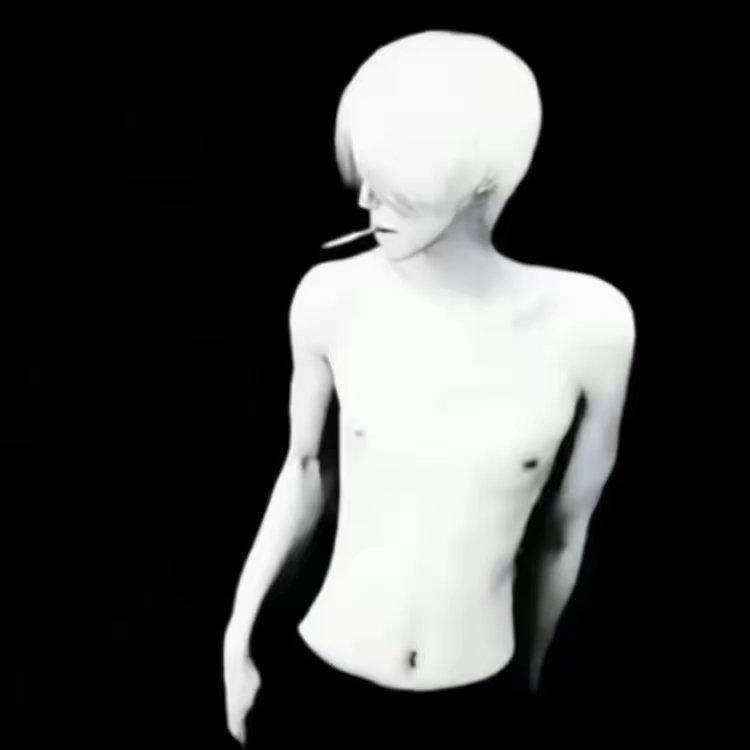 ————————————玫瑰