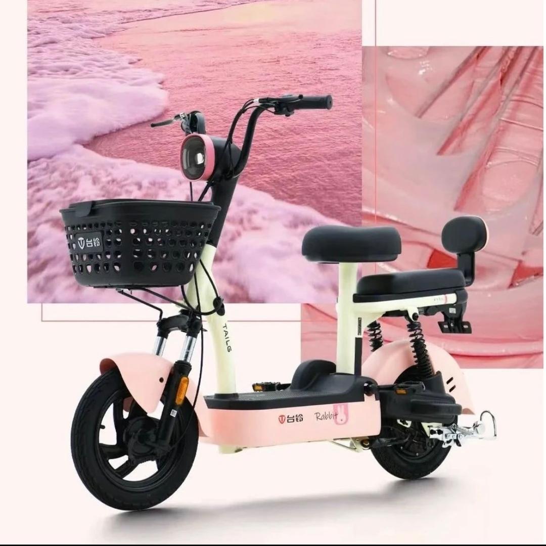 台铃电动车小康