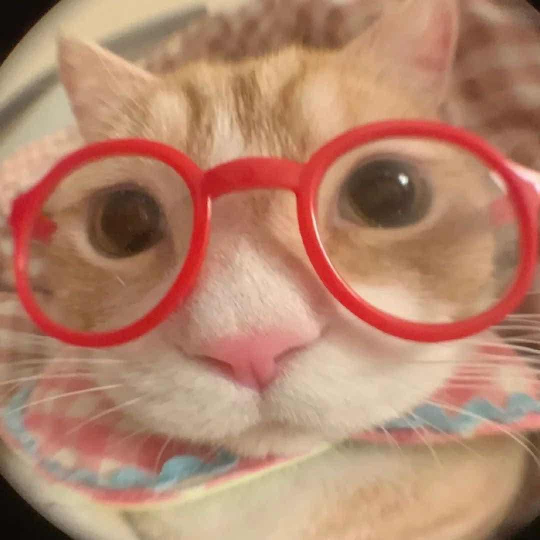 YE.