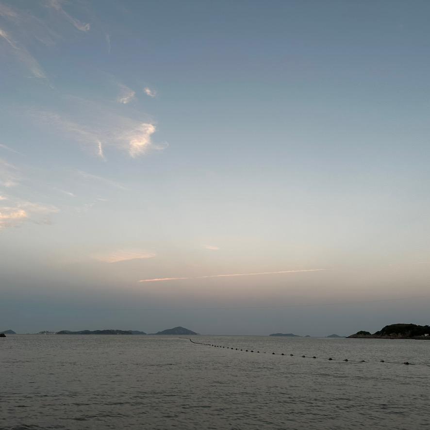 小阿陈。