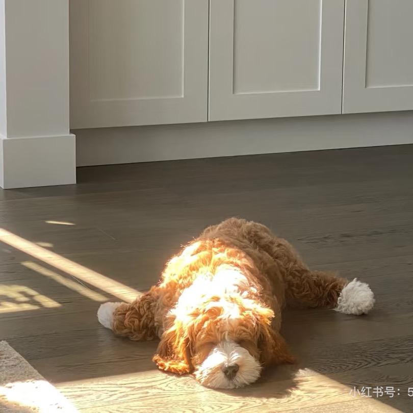fff.