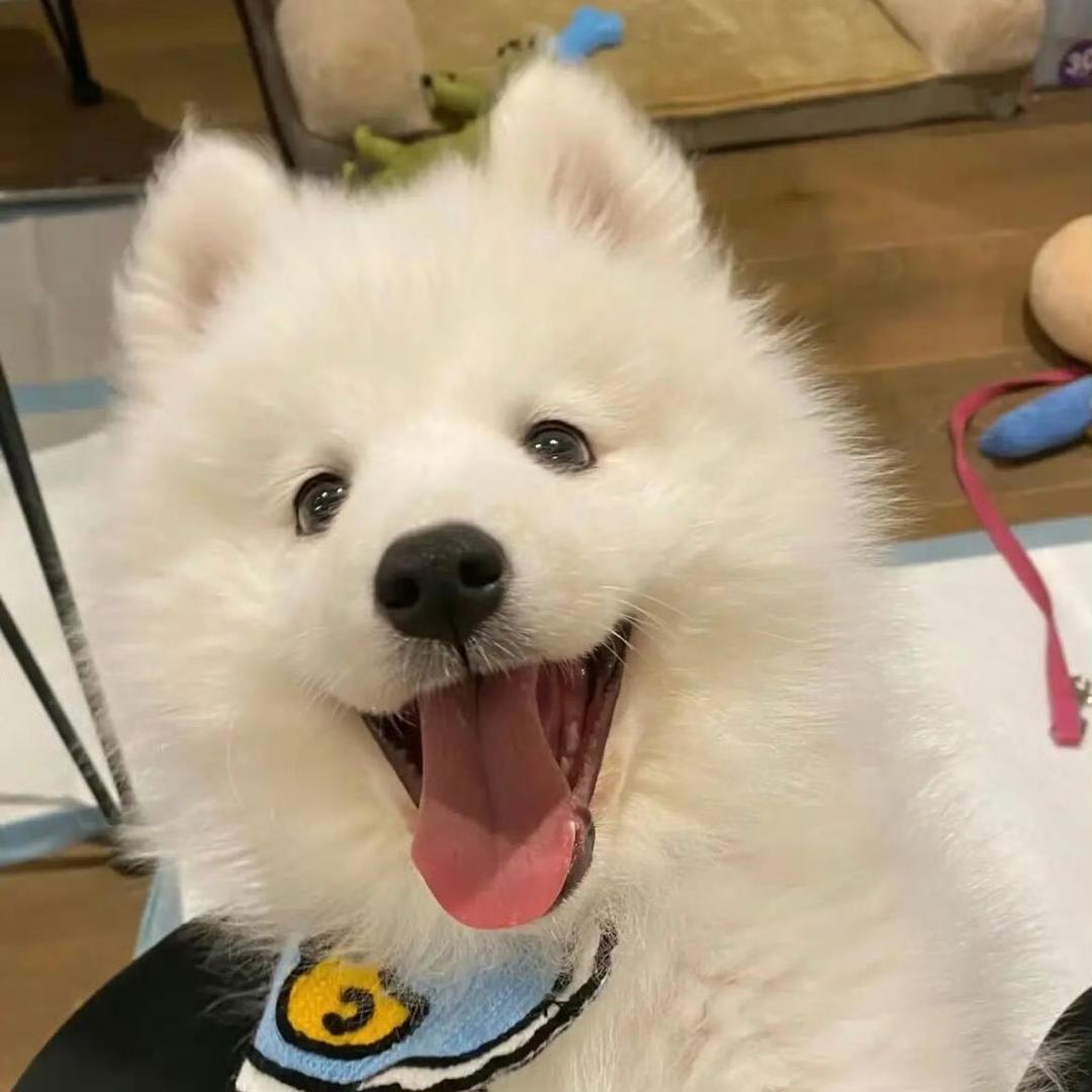 鱼渔瑜