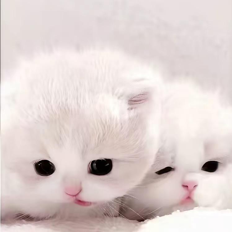 雨过天晴