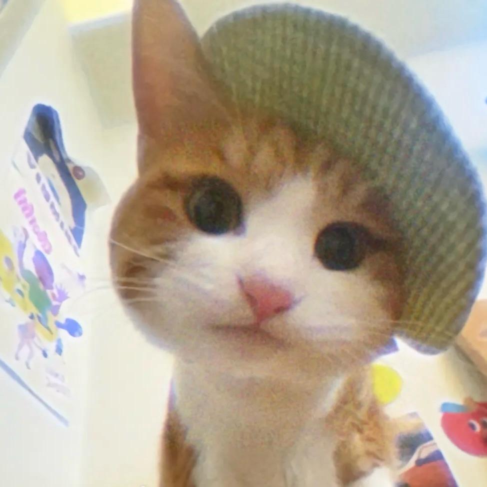 会飞的猪妞