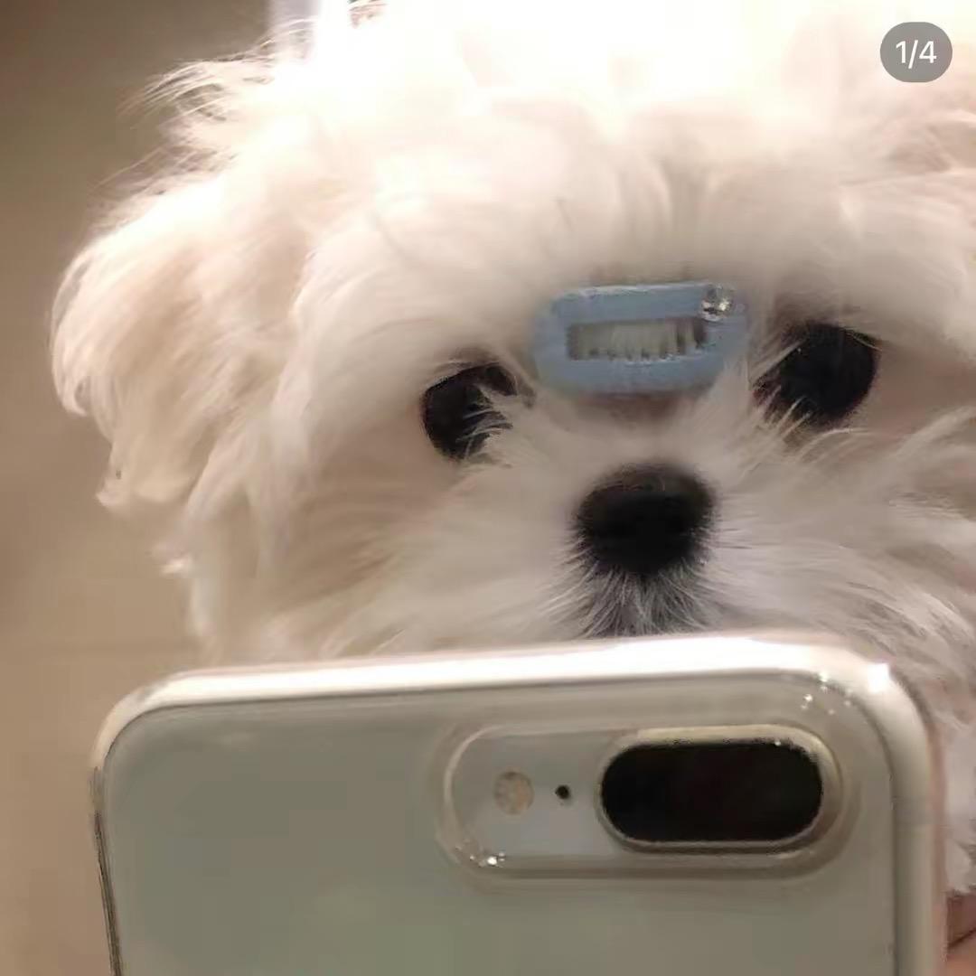 懒羊羊不懒
