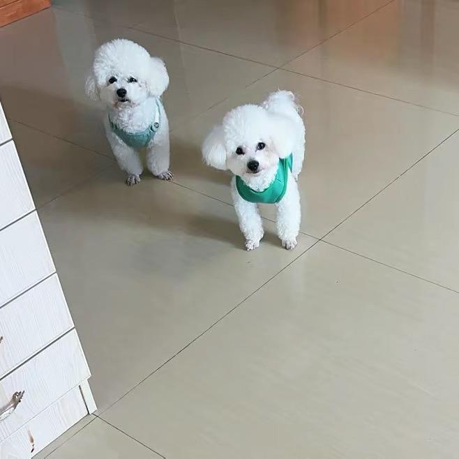 李憨憨+瑞豪酒店