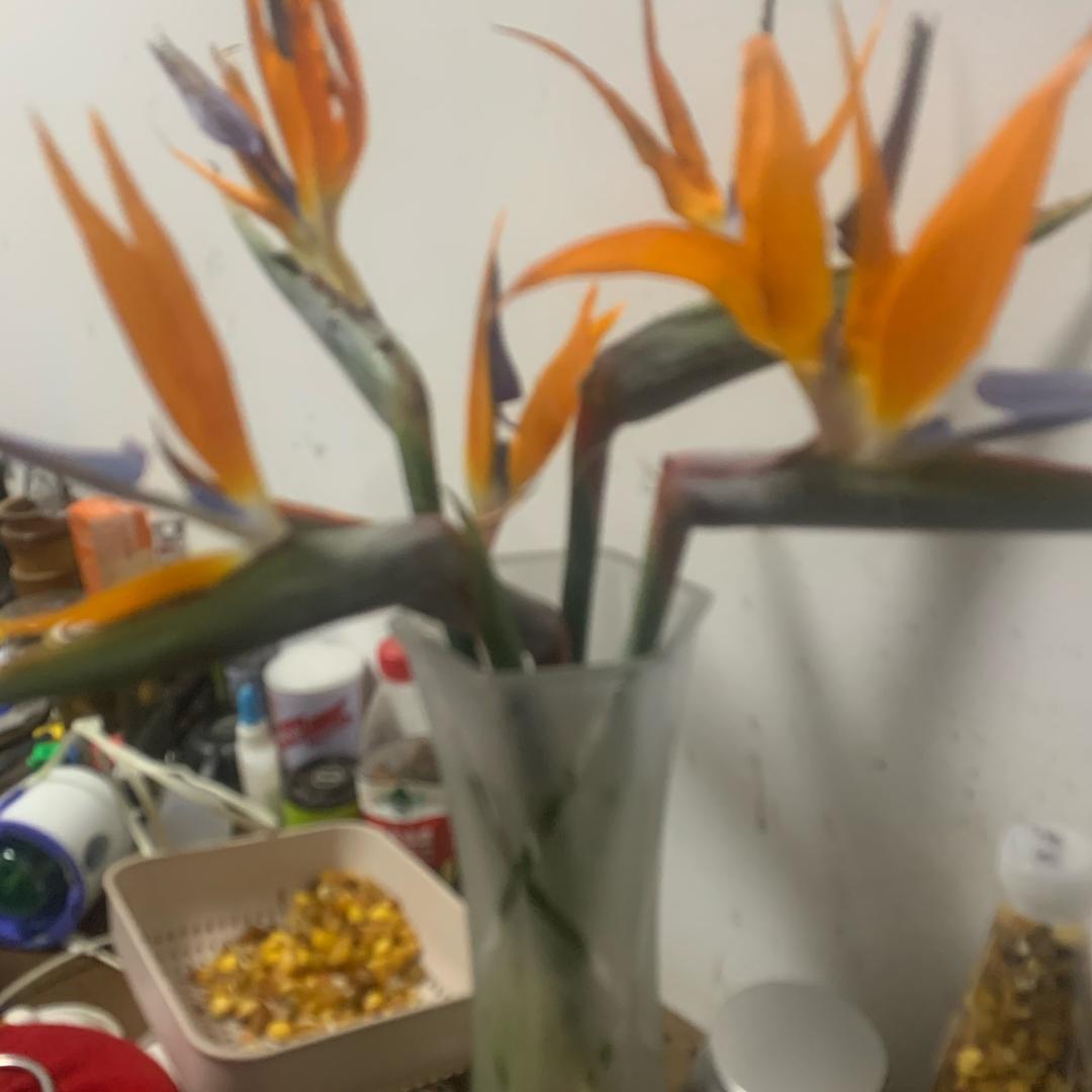 琬琬好物
