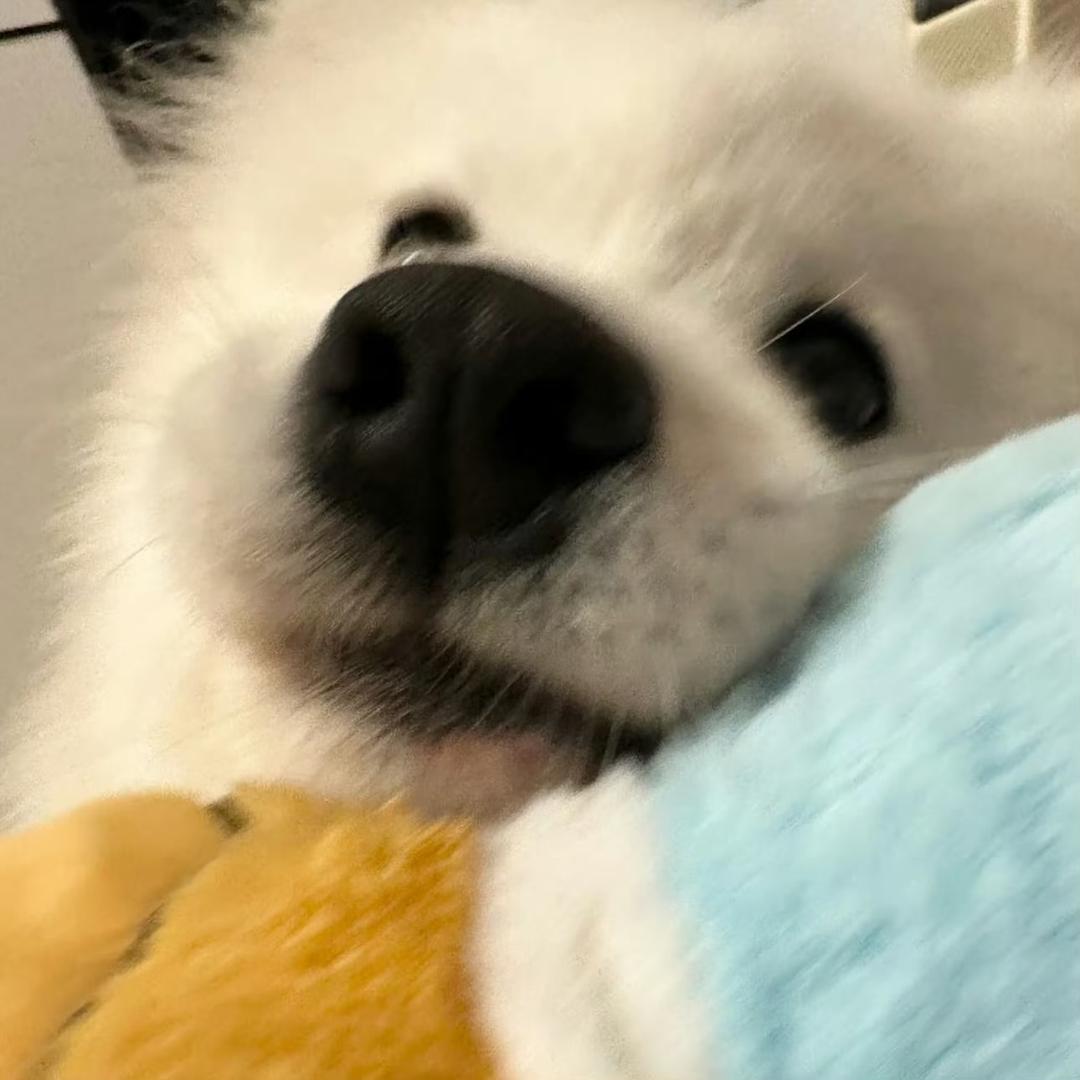 早早早睡