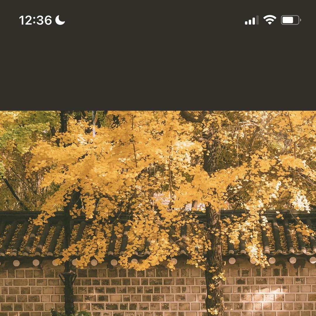 65930173806
