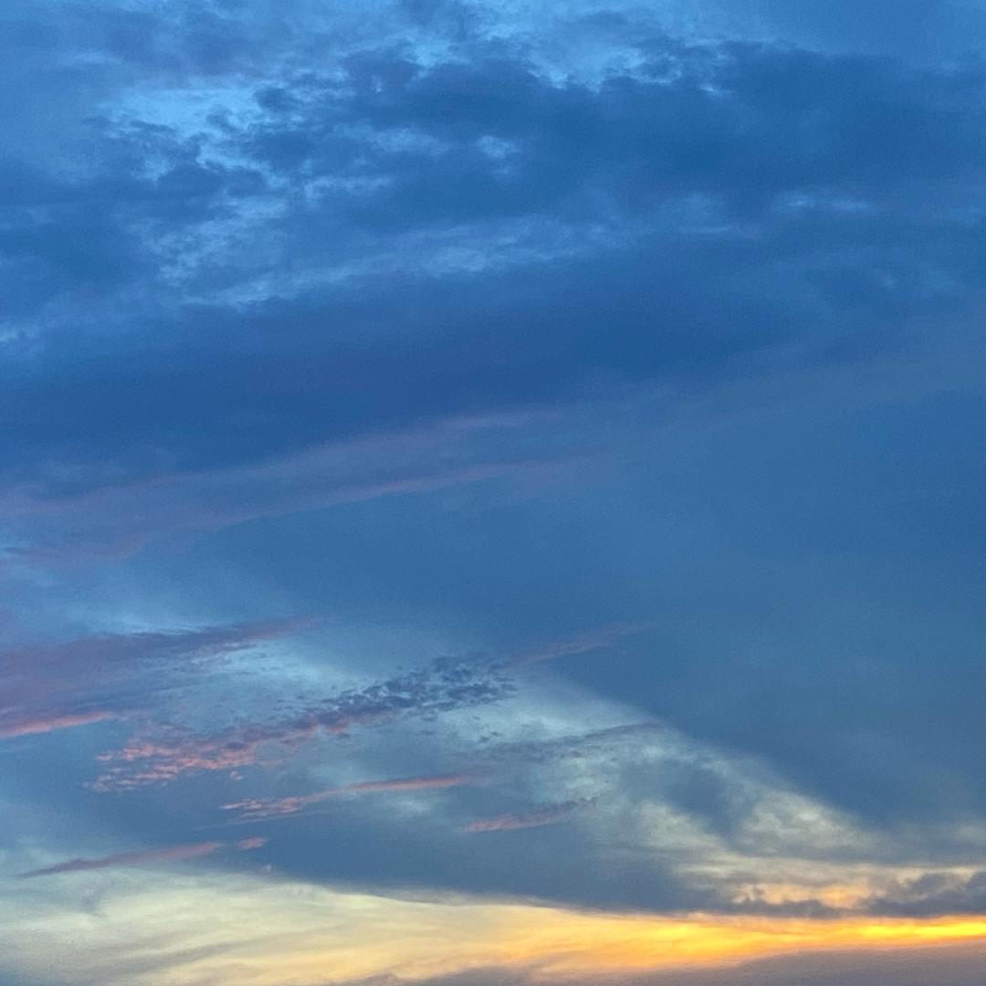 雨崽（补分/战神d）