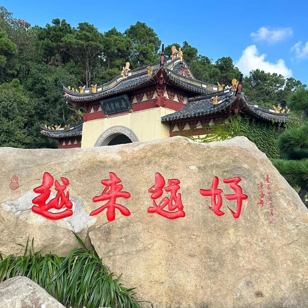 喜•金🐒
