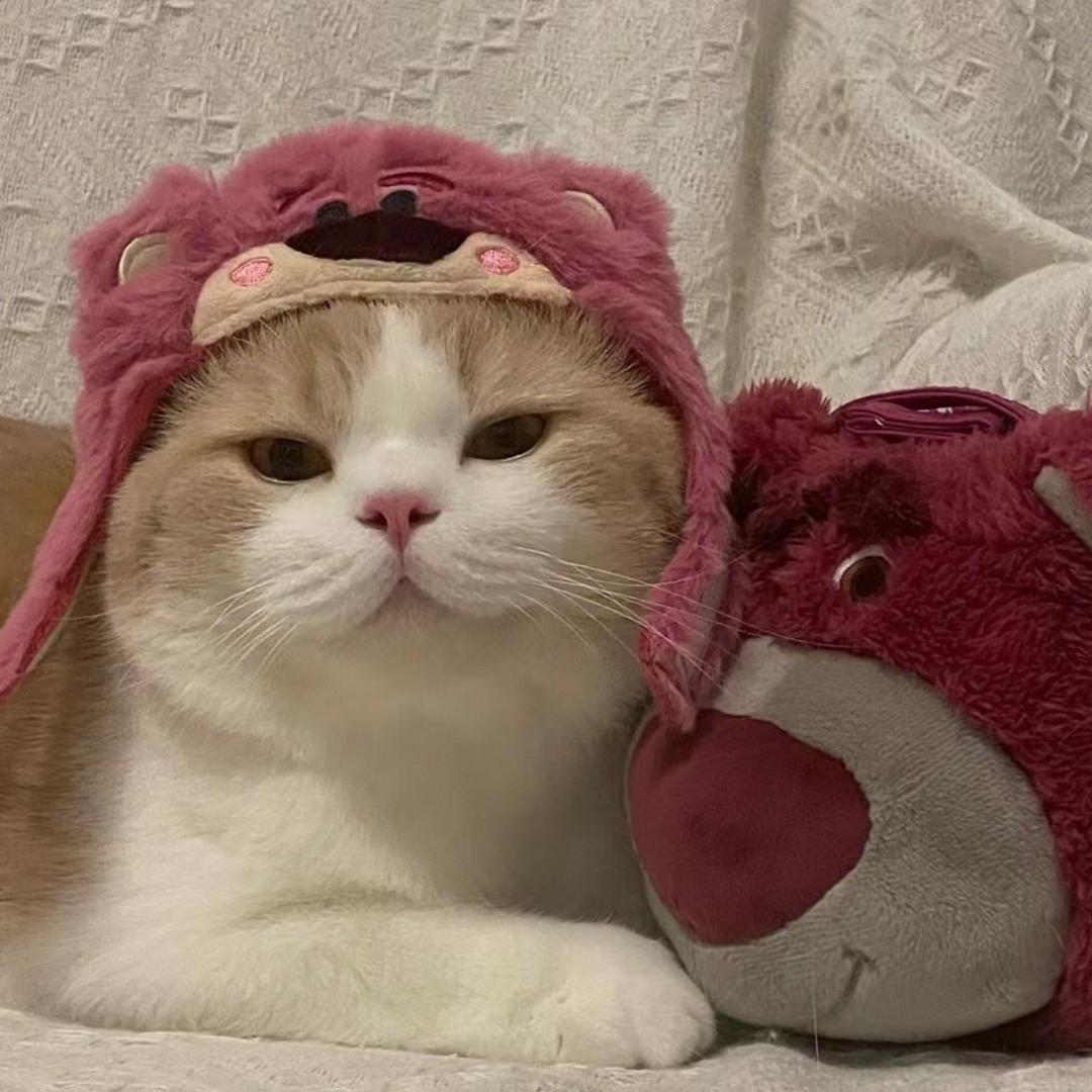 松g