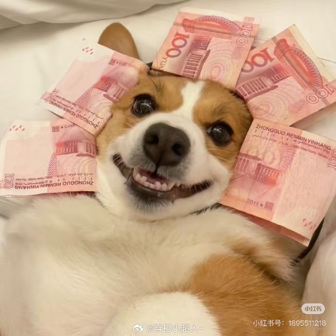 谁吃猪大肠