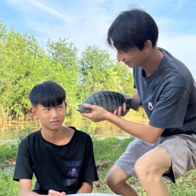 老陈皮