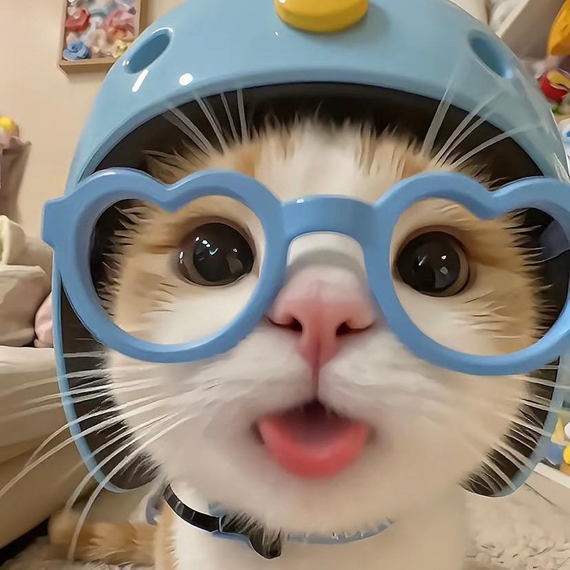 大虾🍤