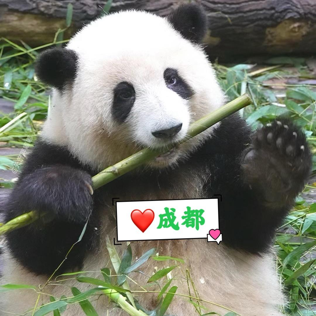 成都记忆