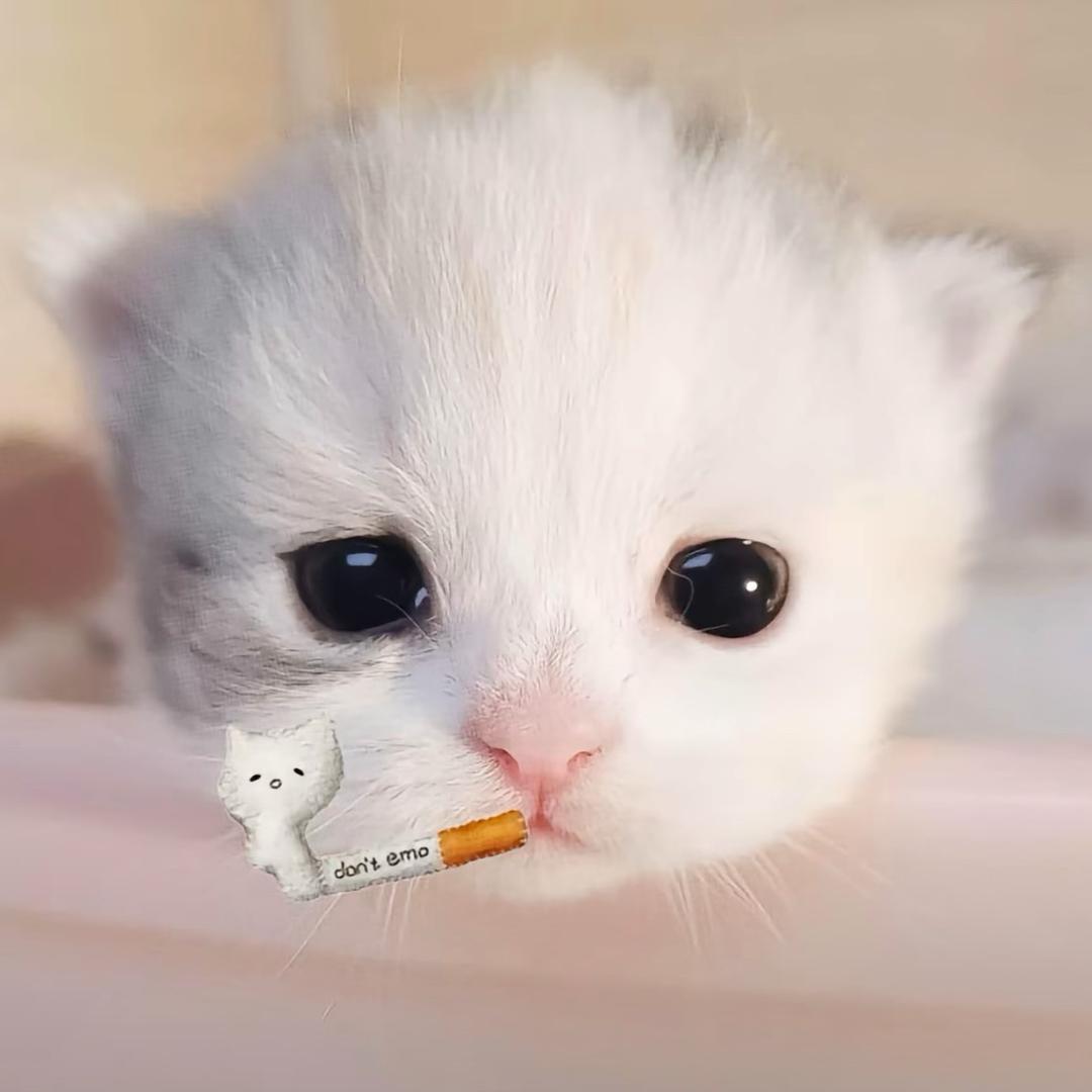 弈星（金铲铲