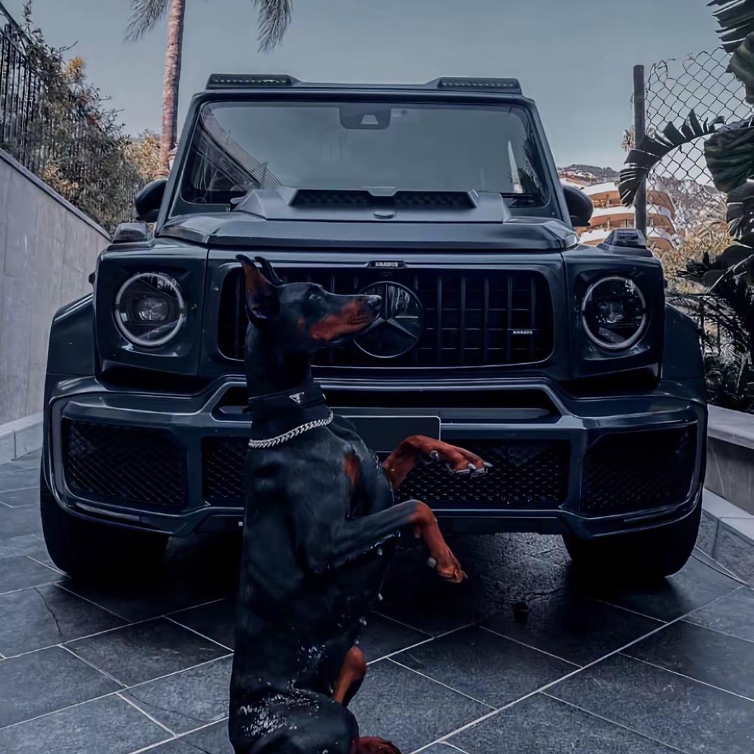 Mr.ZHANG张先生。