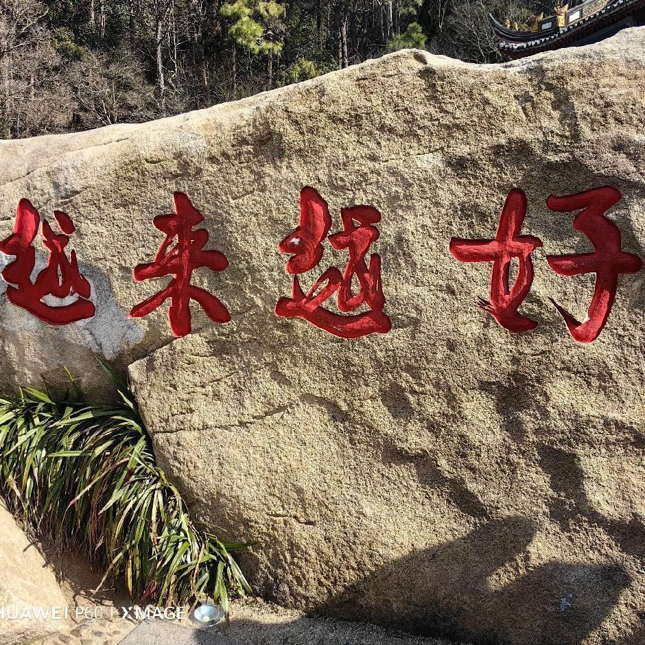 旗开得胜🐶🐯