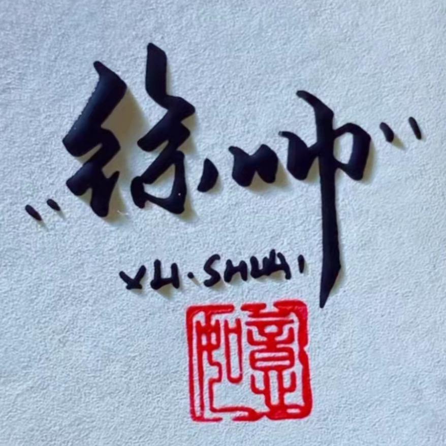 💥少帅驾到！⚡