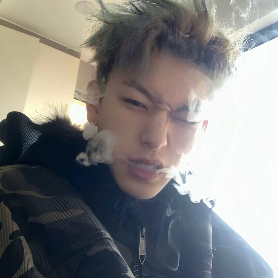 威风的龙