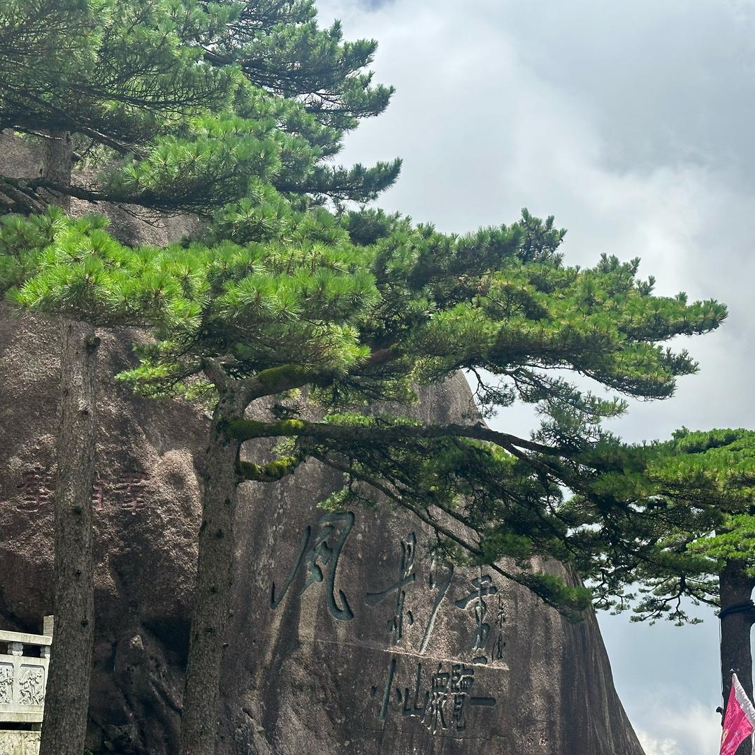 。。。。。。。