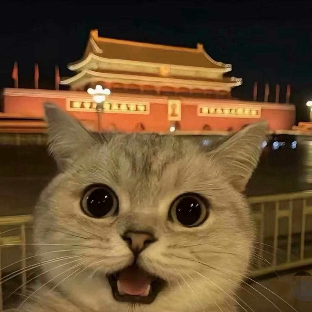 天齐