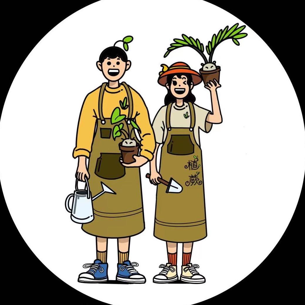 植蕨