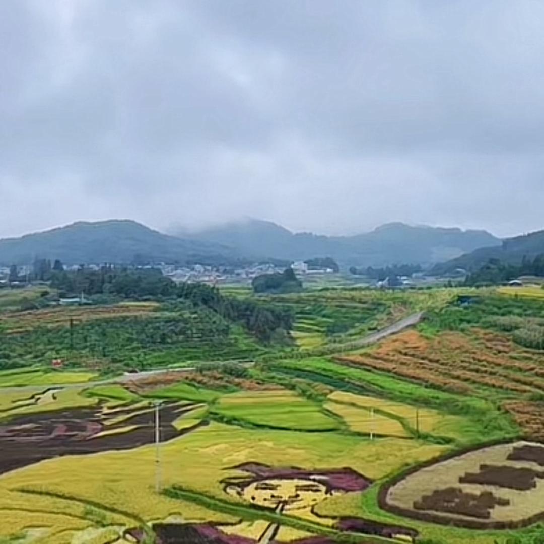 雨杰
