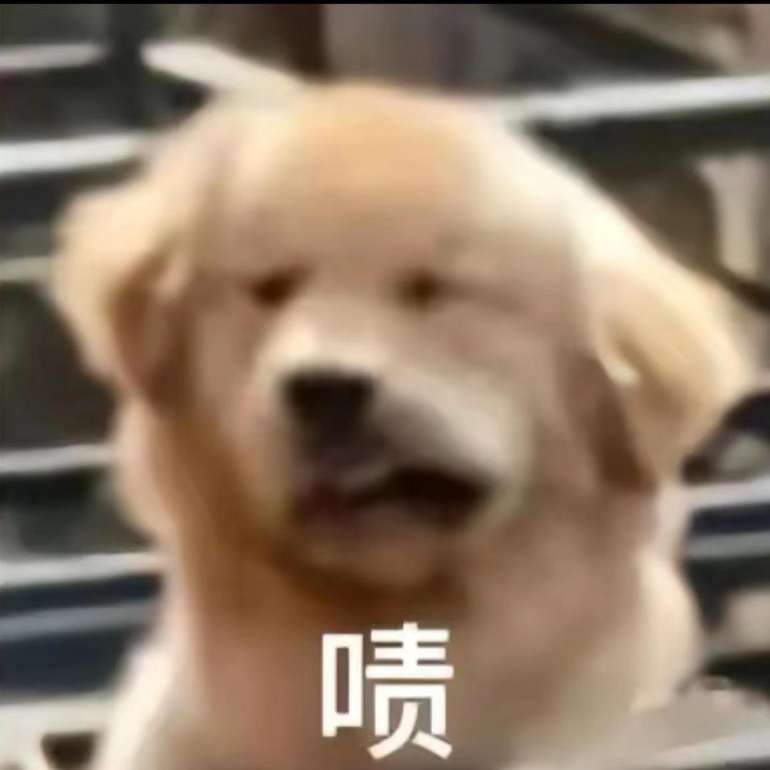 莫名其妙✨