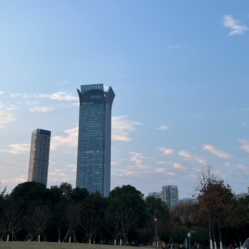 温州陈老师